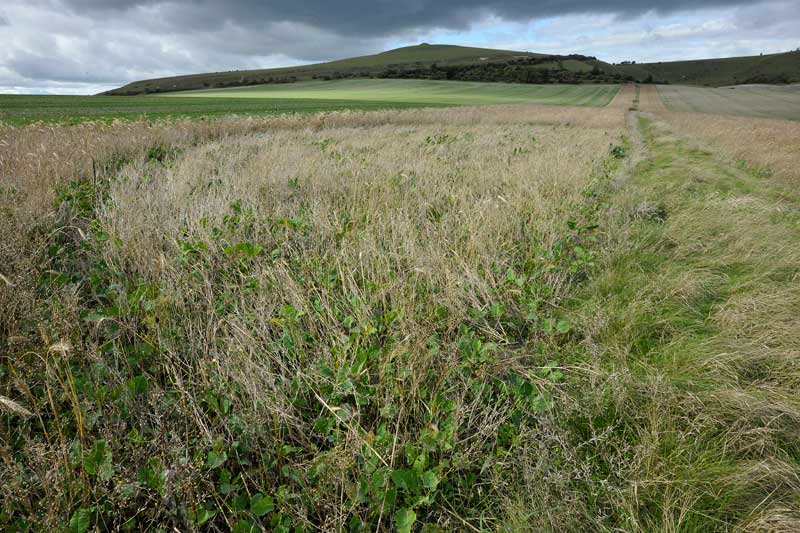 East Field (2), Wiltshire crop circle, aerial photo 14