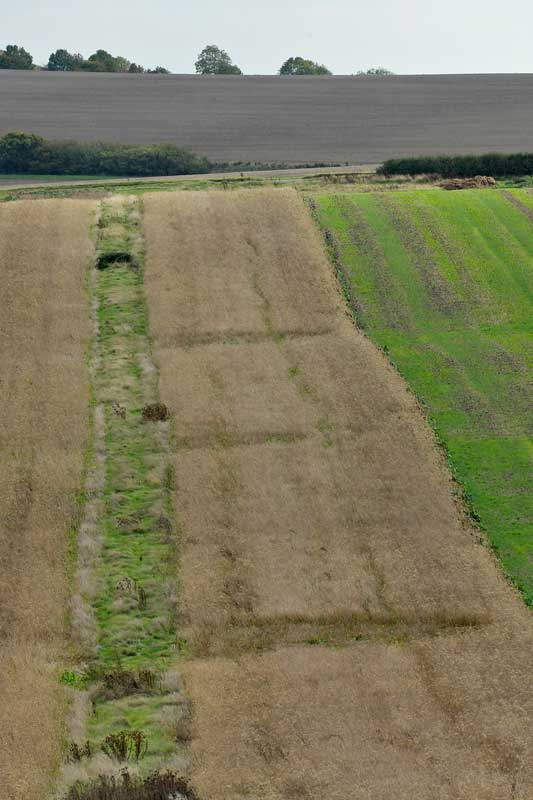 East Field (2), Wiltshire crop circle, aerial photo 15