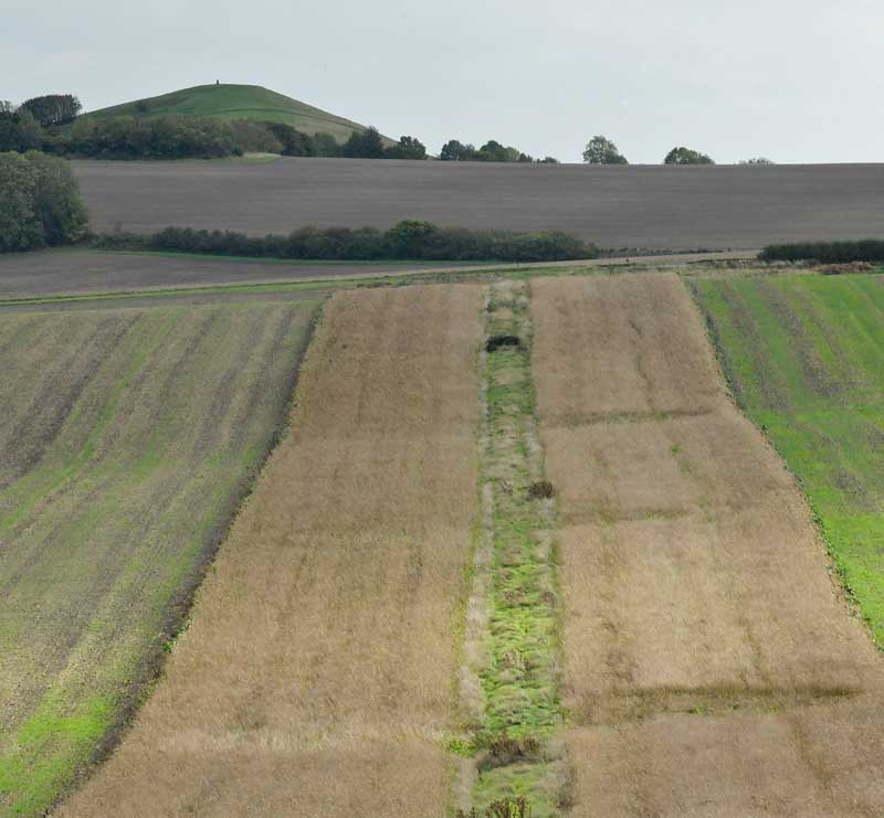 East Field (2), Wiltshire crop circle, aerial photo 9