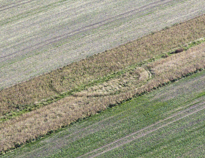 East Field (2), Wiltshire crop circle, aerial photo 5