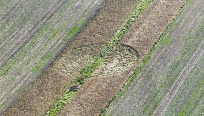 East Field (2), Wiltshire crop circle, aerial photo 6