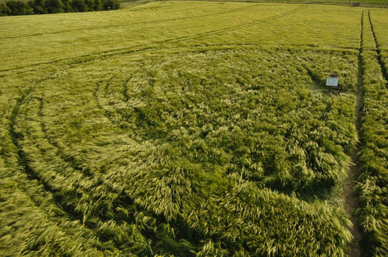 East Kennett, Wiltshire crop circle, aerial photo 32