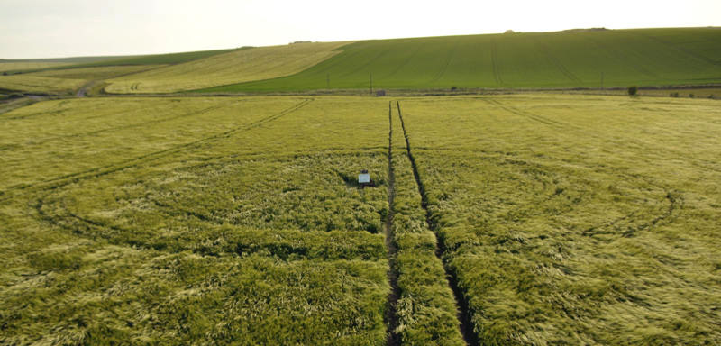 East Kennett, Wiltshire crop circle, aerial photo 29
