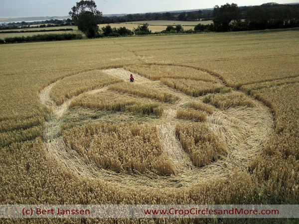 Giants Grave, Wiltshire crop circle, aerial photo 9