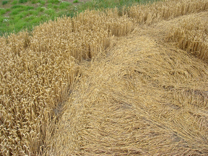 Giants Grave, Wiltshire crop circle, aerial photo 13