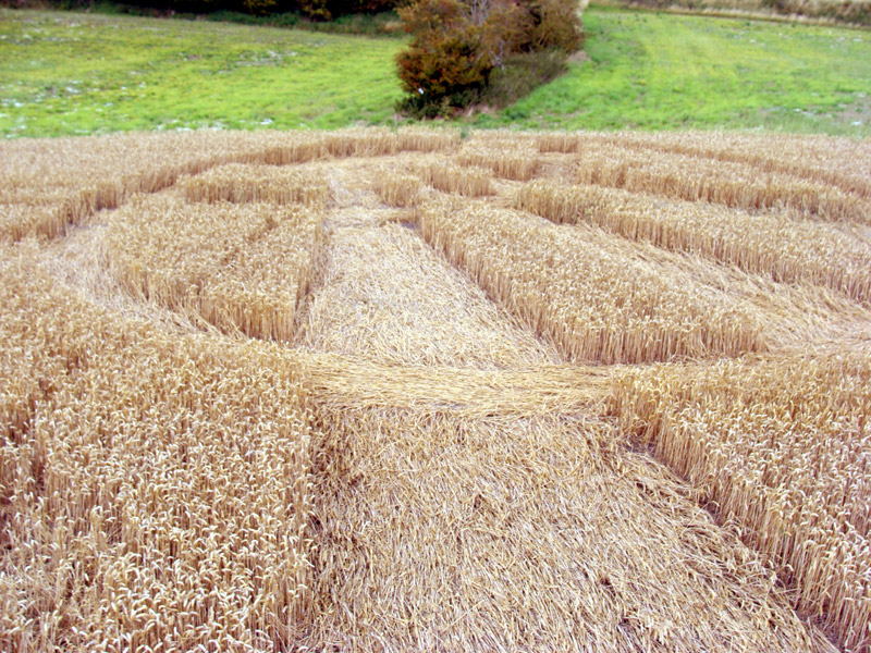 Giants Grave, Wiltshire crop circle, aerial photo 11