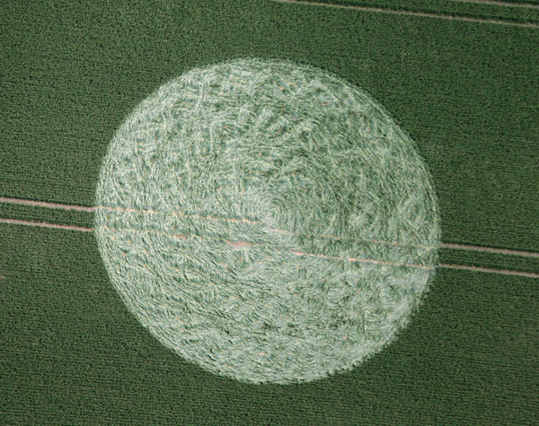 Honeystreet, Wiltshire crop circle, aerial photo 13
