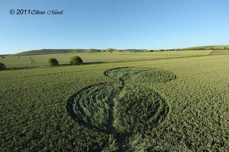 Honeystreet, Wiltshire crop circle, aerial photo 25