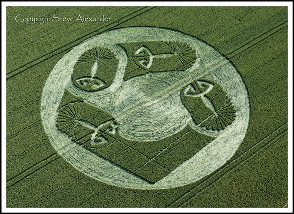 Honeystreet (2), Wiltshire crop circle, aerial photo 19