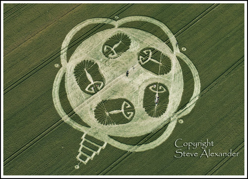 Honeystreet (2), Wiltshire crop circle, aerial photo 7