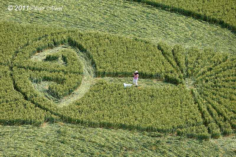 Honeystreet (2), Wiltshire crop circle, aerial photo 40