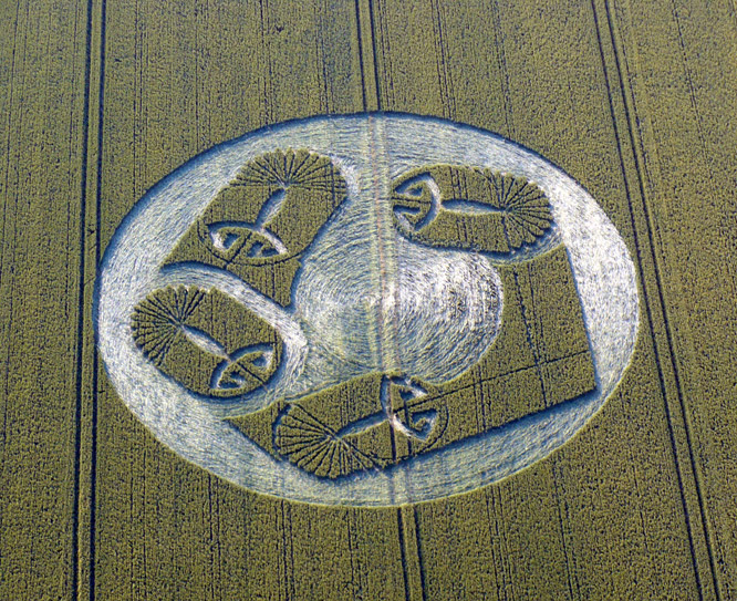 Honeystreet (2), Wiltshire crop circle, aerial photo 15