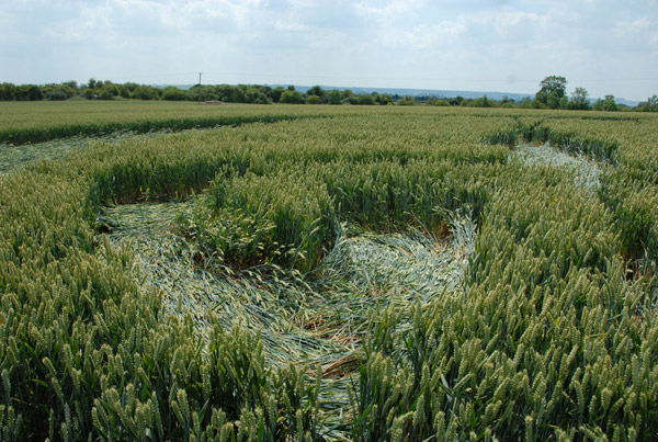 Honeystreet (2), Wiltshire crop circle, aerial photo 38