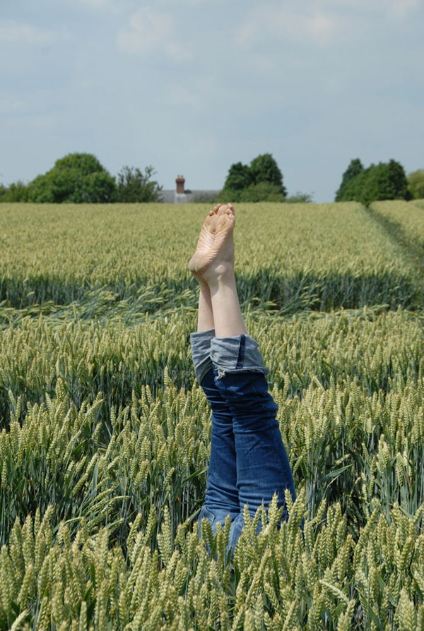 Honeystreet (2), Wiltshire crop circle, aerial photo 35
