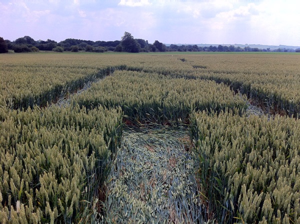 Honeystreet (3), Wiltshire crop circle, aerial photo 37
