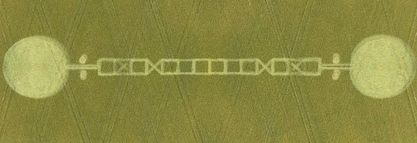 Honeystreet (3), Wiltshire crop circle, aerial photo 13
