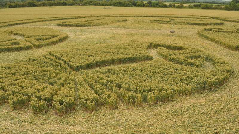 Honeystreet (3), Wiltshire crop circle, aerial photo 33