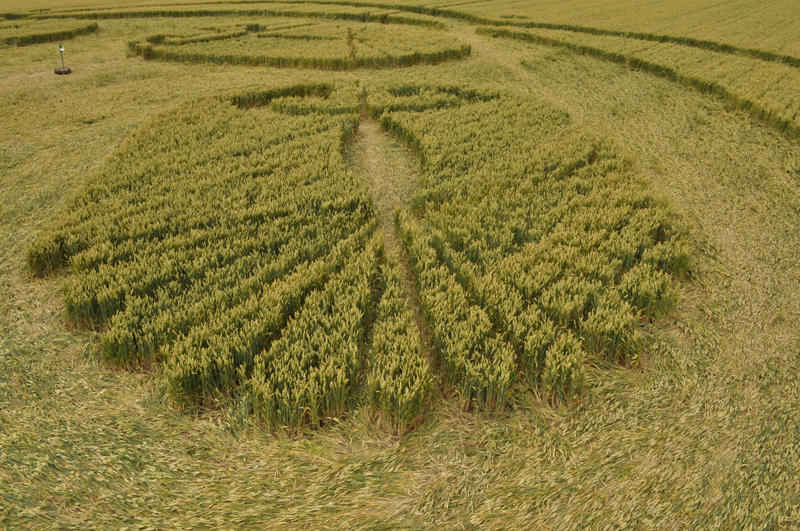 Honeystreet (3), Wiltshire crop circle, aerial photo 34