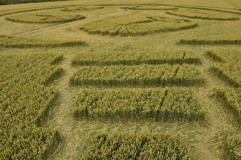 Honeystreet (3), Wiltshire crop circle, aerial photo 35