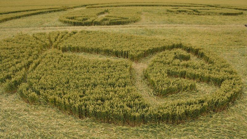 Honeystreet (3), Wiltshire crop circle, aerial photo 36
