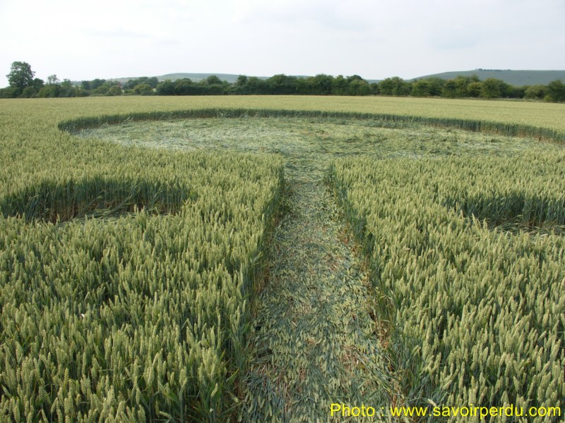 Honeystreet (3), Wiltshire crop circle, aerial photo 71