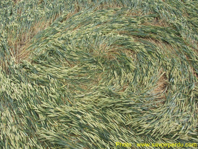 Honeystreet (3), Wiltshire crop circle, aerial photo 64