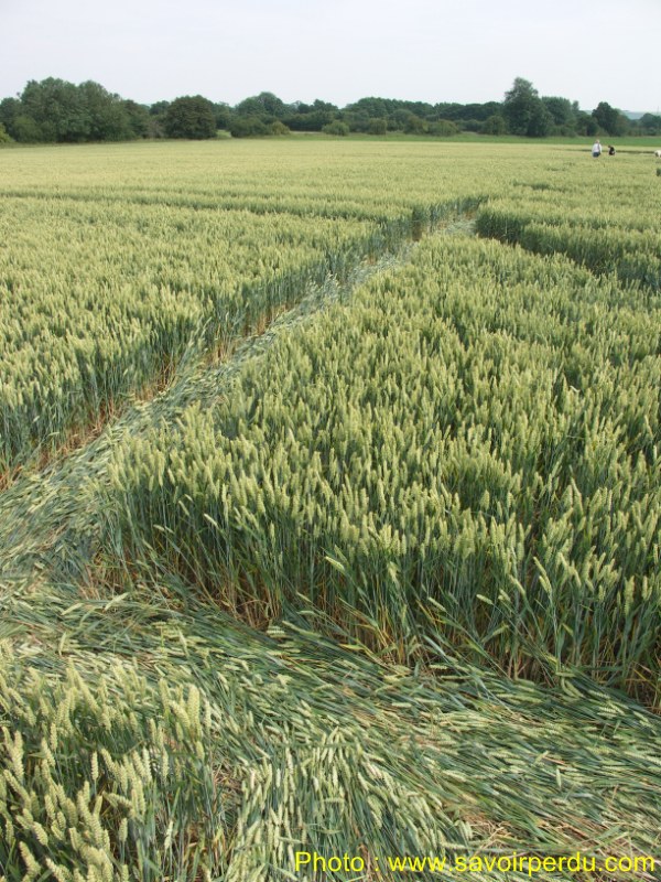 Honeystreet (3), Wiltshire crop circle, aerial photo 56