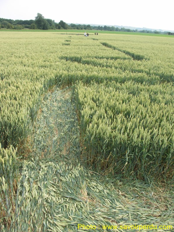 Honeystreet (3), Wiltshire crop circle, aerial photo 55