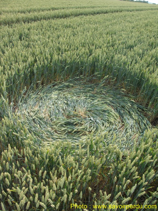 Honeystreet (3), Wiltshire crop circle, aerial photo 52