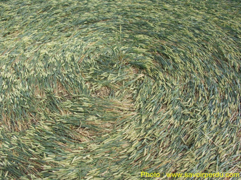 Honeystreet (3), Wiltshire crop circle, aerial photo 47