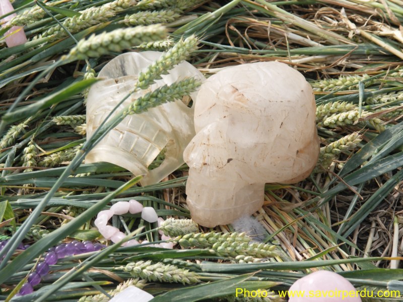 Honeystreet (3), Wiltshire crop circle, aerial photo 72