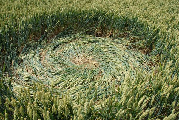 Honeystreet (3), Wiltshire crop circle, aerial photo 43