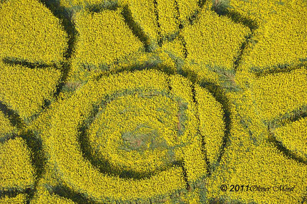 Innage, Wales crop circle, aerial photo 6