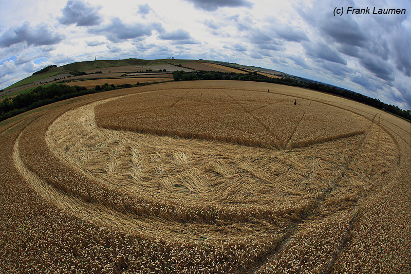Jubilee Plantation, Wiltshire crop circle, aerial photo 66