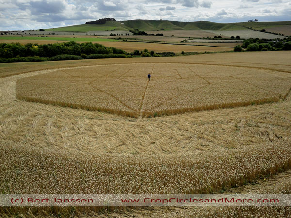 Jubilee Plantation, Wiltshire crop circle, aerial photo 67