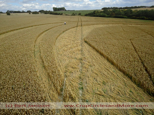 Jubilee Plantation, Wiltshire crop circle, aerial photo 68