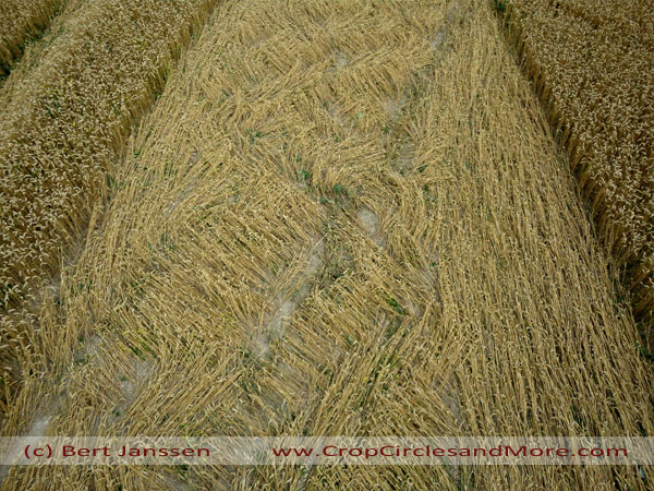 Jubilee Plantation, Wiltshire crop circle, aerial photo 69
