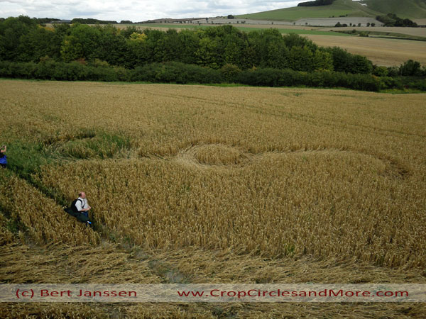 Jubilee Plantation, Wiltshire crop circle, aerial photo 70