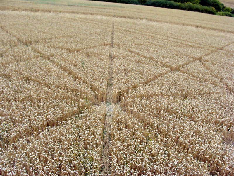 Jubilee Plantation, Wiltshire crop circle, aerial photo 72