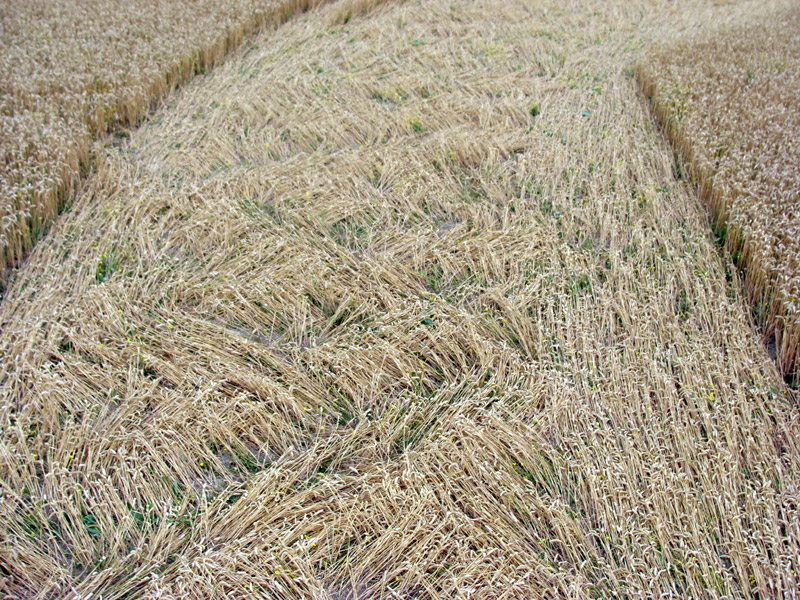 Jubilee Plantation, Wiltshire crop circle, aerial photo 73