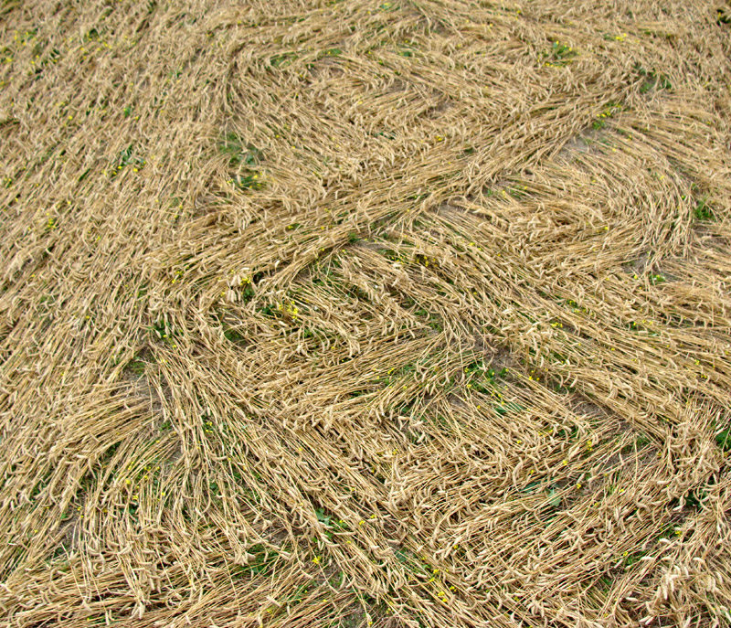Jubilee Plantation, Wiltshire crop circle, aerial photo 74