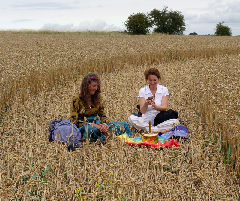 Jubilee Plantation, Wiltshire crop circle, aerial photo 71