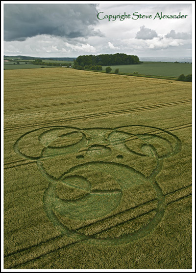 Kingstone Coombes, Oxfordshire crop circle, aerial photo 9
