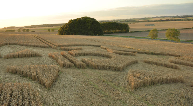 Crop Circle atKnoll Down, Wiltshire crop circle, aerial photo 23