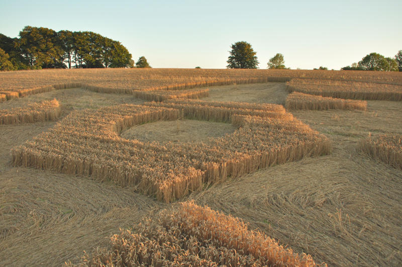 Crop Circle atKnoll Down, Wiltshire crop circle, aerial photo 21