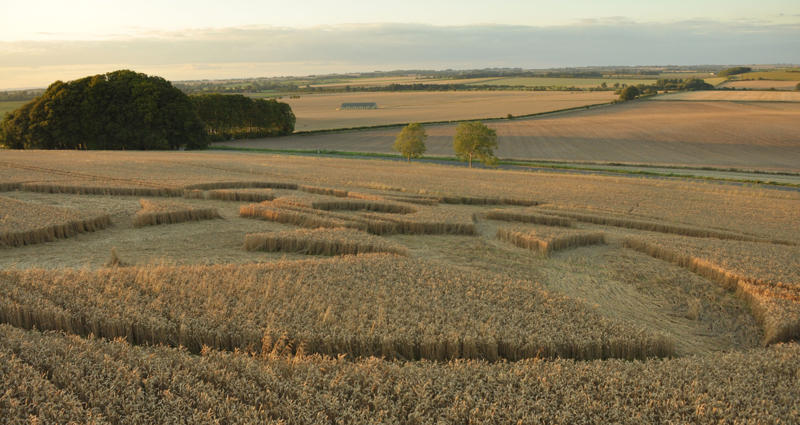 Crop Circle atKnoll Down, Wiltshire crop circle, aerial photo 22