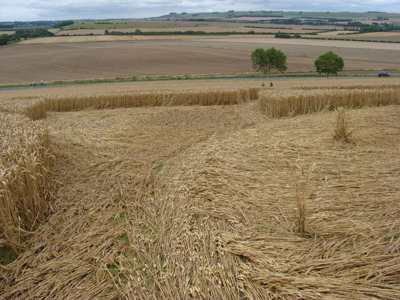 Crop Circle atKnoll Down, Wiltshire crop circle, aerial photo 25