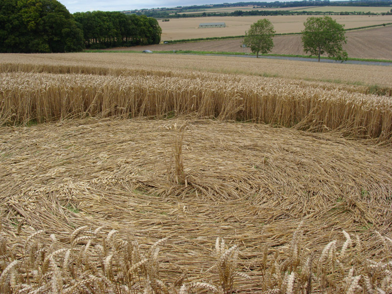 Crop Circle atKnoll Down, Wiltshire crop circle, aerial photo 27