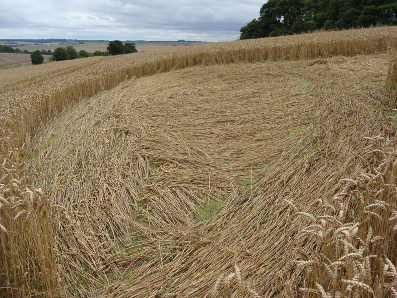 Crop Circle atKnoll Down, Wiltshire crop circle, aerial photo 26