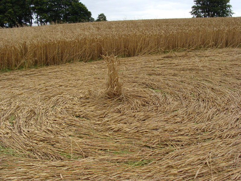 Crop Circle atKnoll Down, Wiltshire crop circle, aerial photo 28